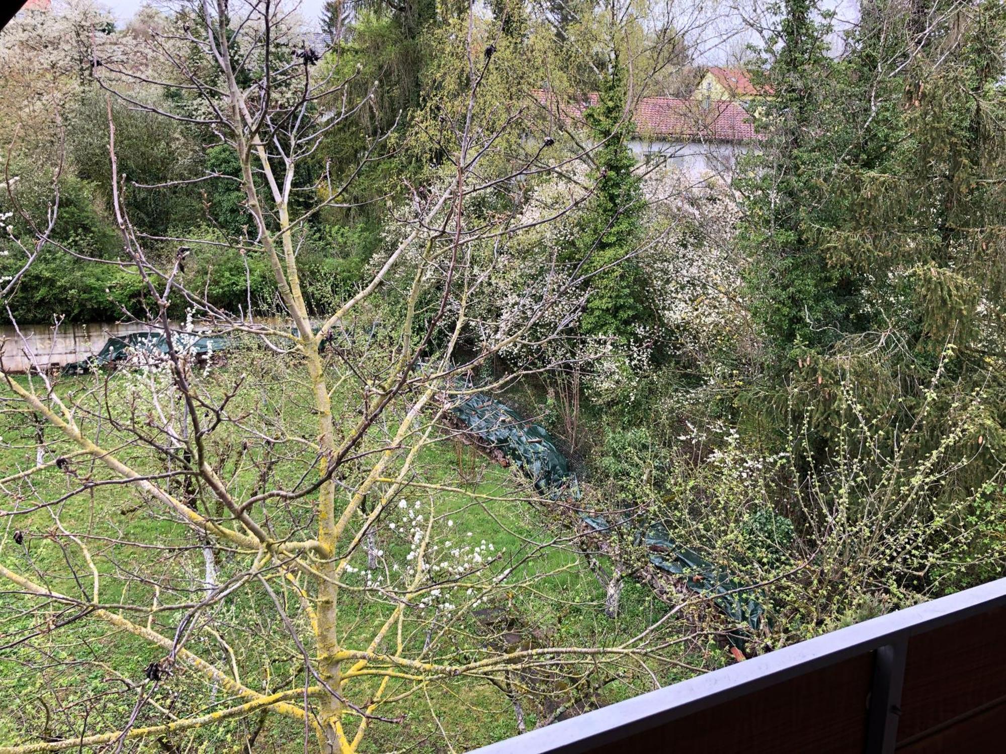 Blaues Zimmer Mit Grossem Balkon, Bad Ist Ein Traum, 50 Schritte Zum Radweg Am Main,Ideal For Short Stay Mainstockheim Ngoại thất bức ảnh